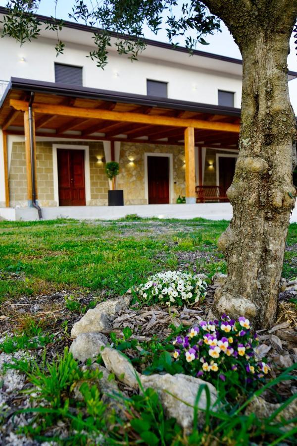 Atomos Bed & Breakfast Alvignano ภายนอก รูปภาพ