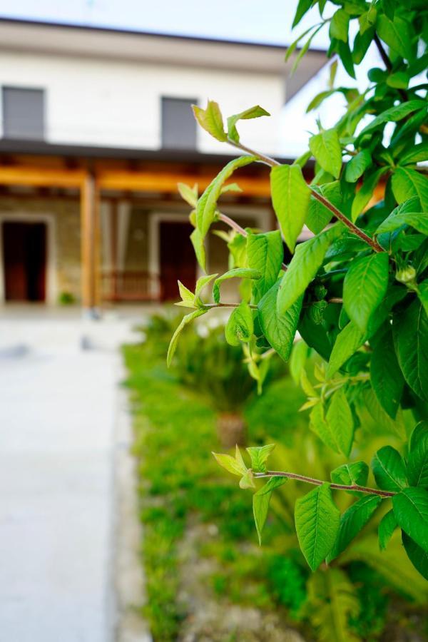 Atomos Bed & Breakfast Alvignano ภายนอก รูปภาพ